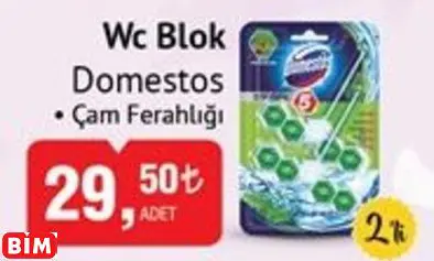 DOMESTOS WC BLOK DOMESTOS WC BLOK